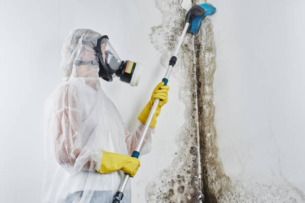 Best Industrial Mold Remediation  in Bartonville, TX