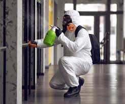 Best Mold Remediation for Healthcare Facilities  in Bartonville, TX